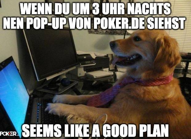 Ein Hund ist online und findet eine Anzeige, um Poker zu spielen