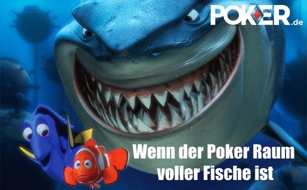 Ein Hai riecht nach Fisch und m&ouml;chte den Fisch essen